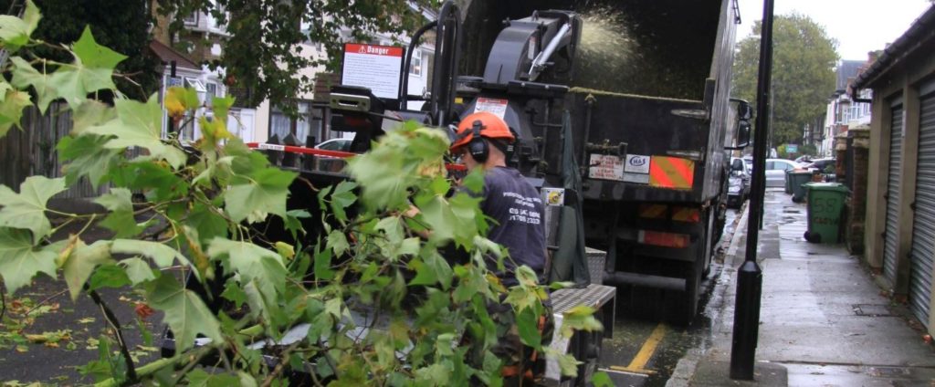 Tree Surgeons Dagenham