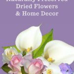 Dried Poppy Pods For Sale